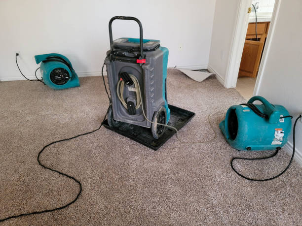  Nellysford, VA Water damage restoration Pros