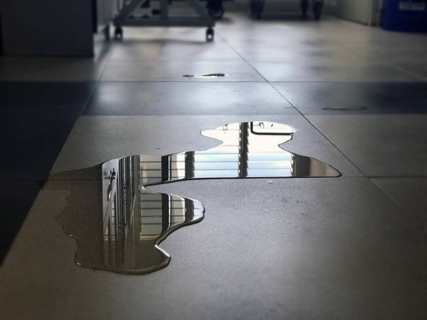 Best 24/7 water damage repair  in Nellysford, VA