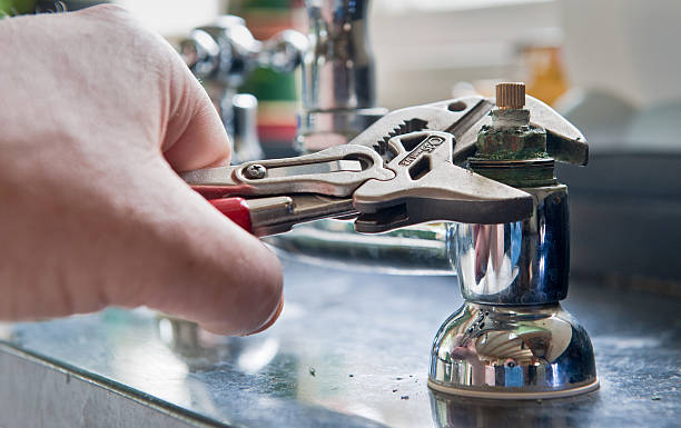 Best Flood damage cleanup  in Nellysford, VA
