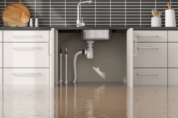 Best Flooded house restoration  in Nellysford, VA