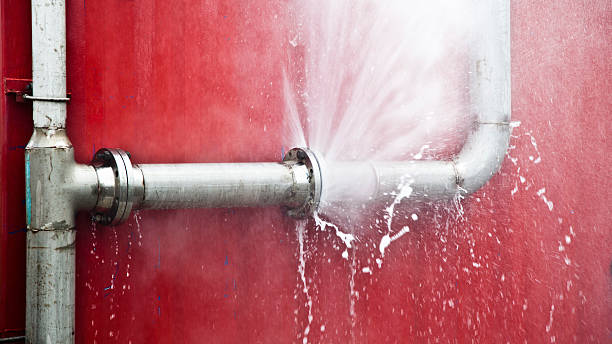 Best Carpet water damage restoration  in Nellysford, VA