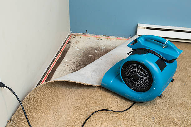 Best Ceiling water damage repair  in Nellysford, VA